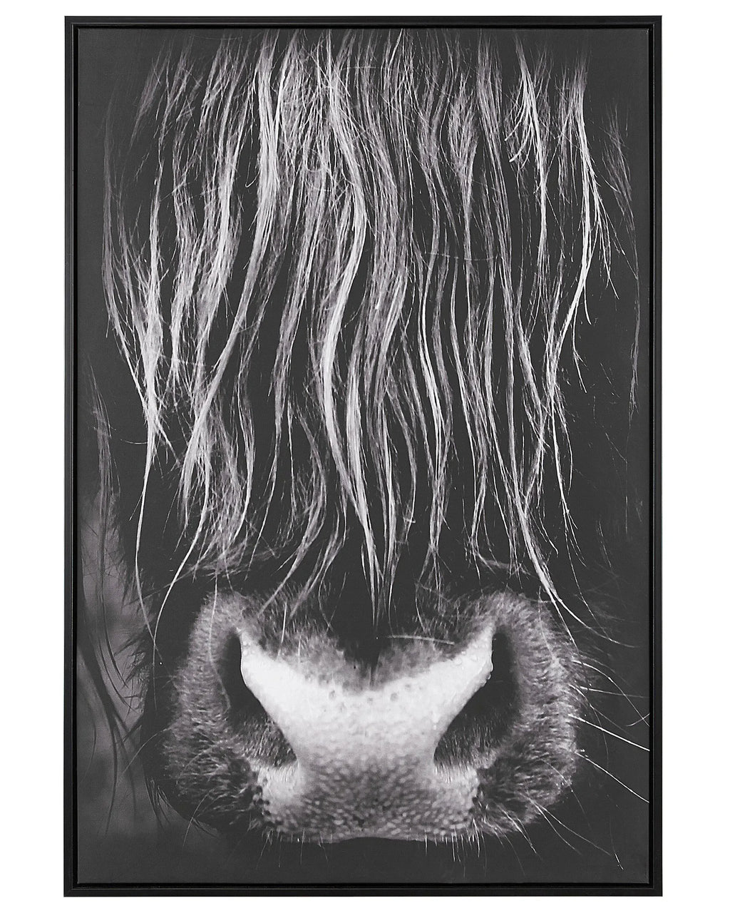 Stampa su tela  Motivo animale 63 x 99 cm Nero