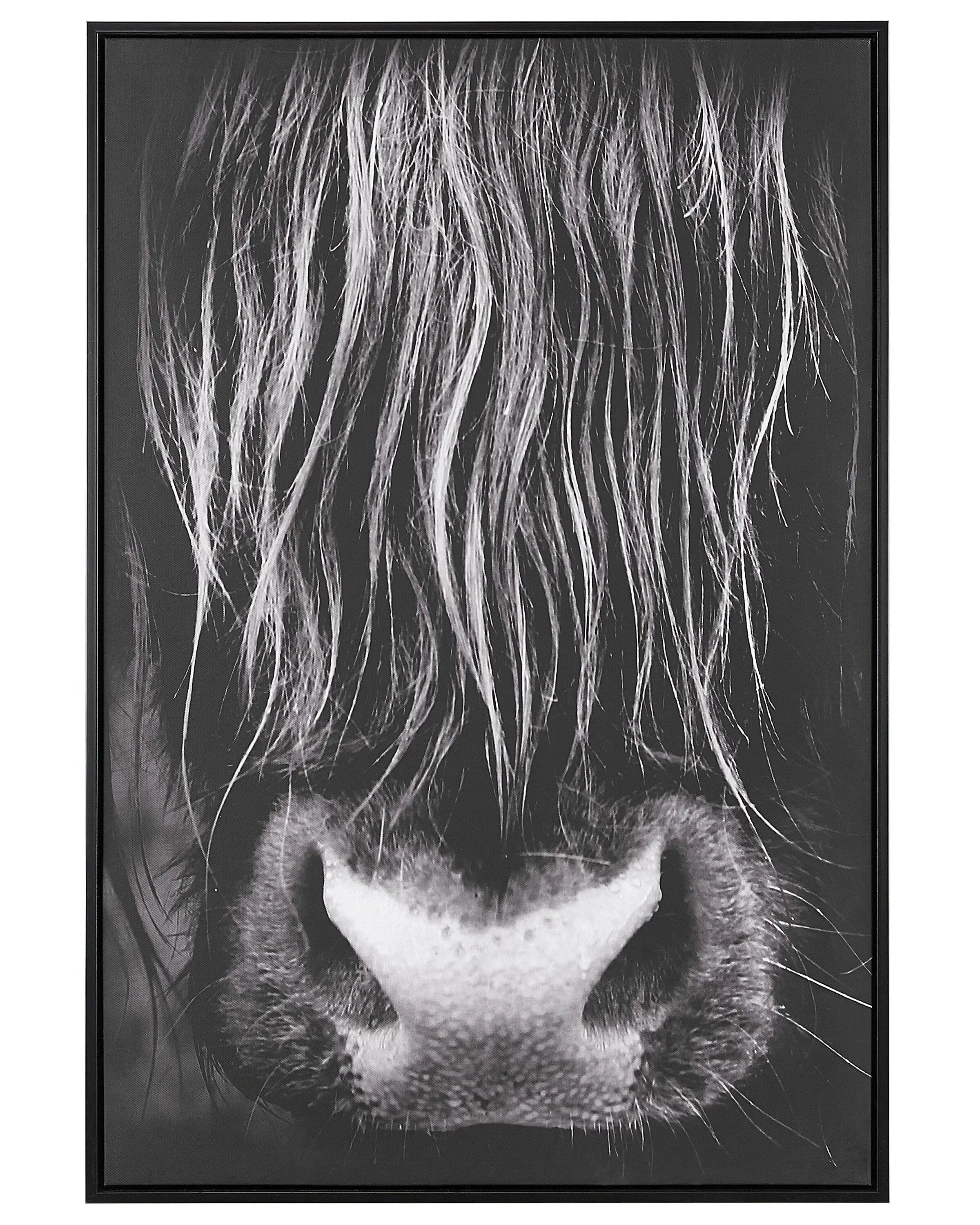 Stampa su tela  Motivo animale 63 x 99 cm Nero