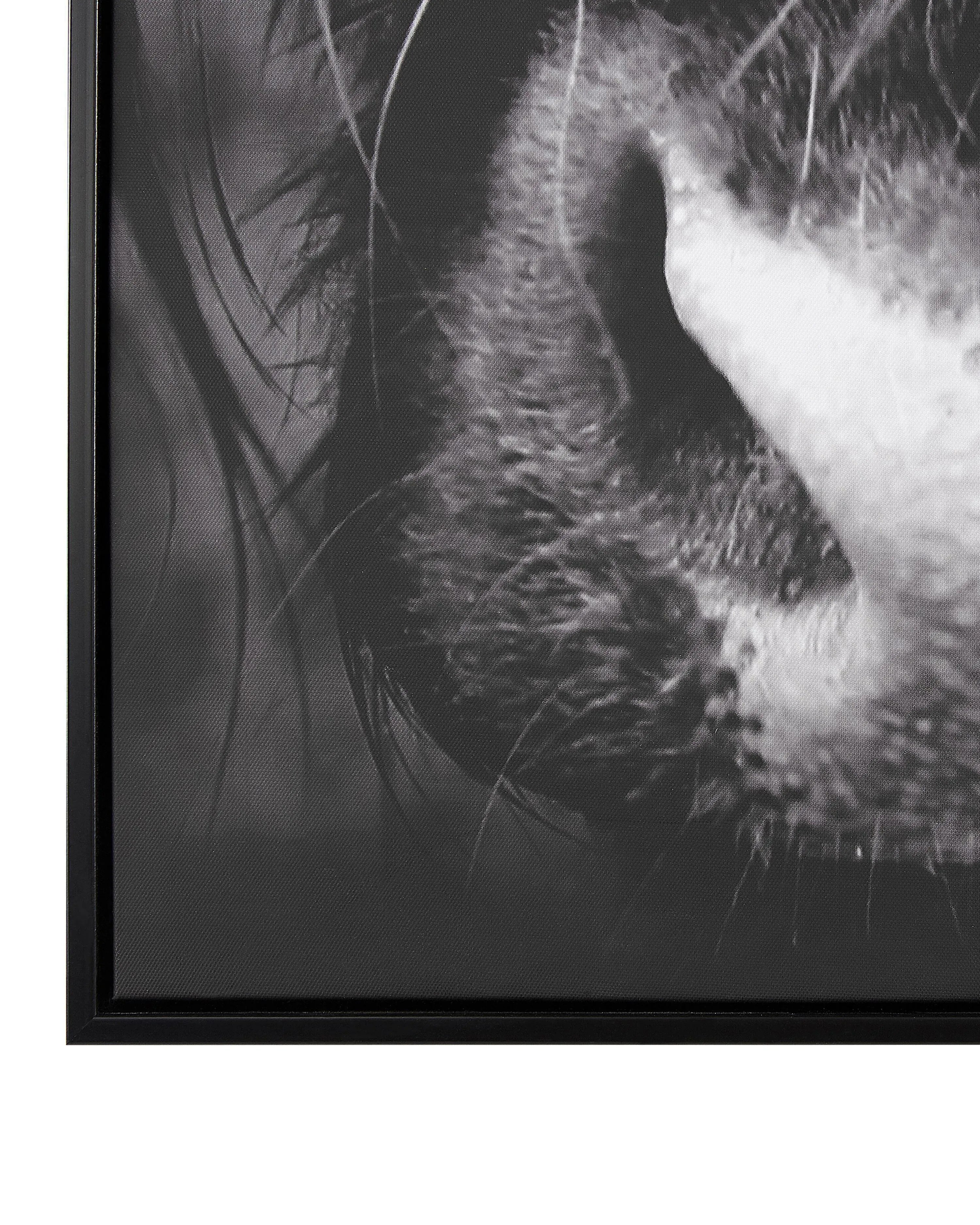 Stampa su tela  Motivo animale 63 x 99 cm Nero