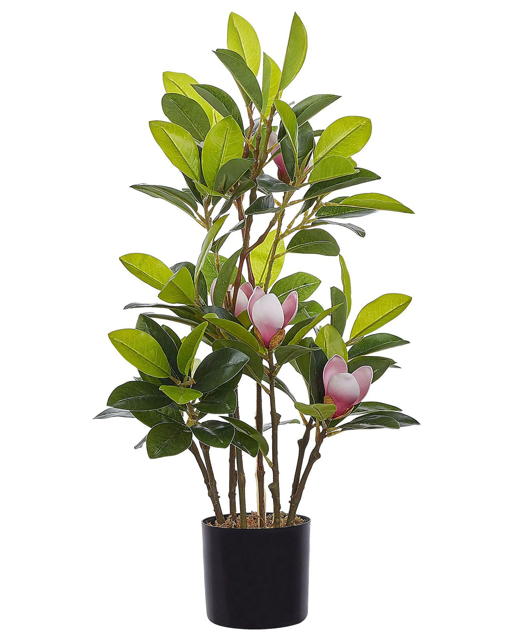Pianta artificiale  70 cm Verde