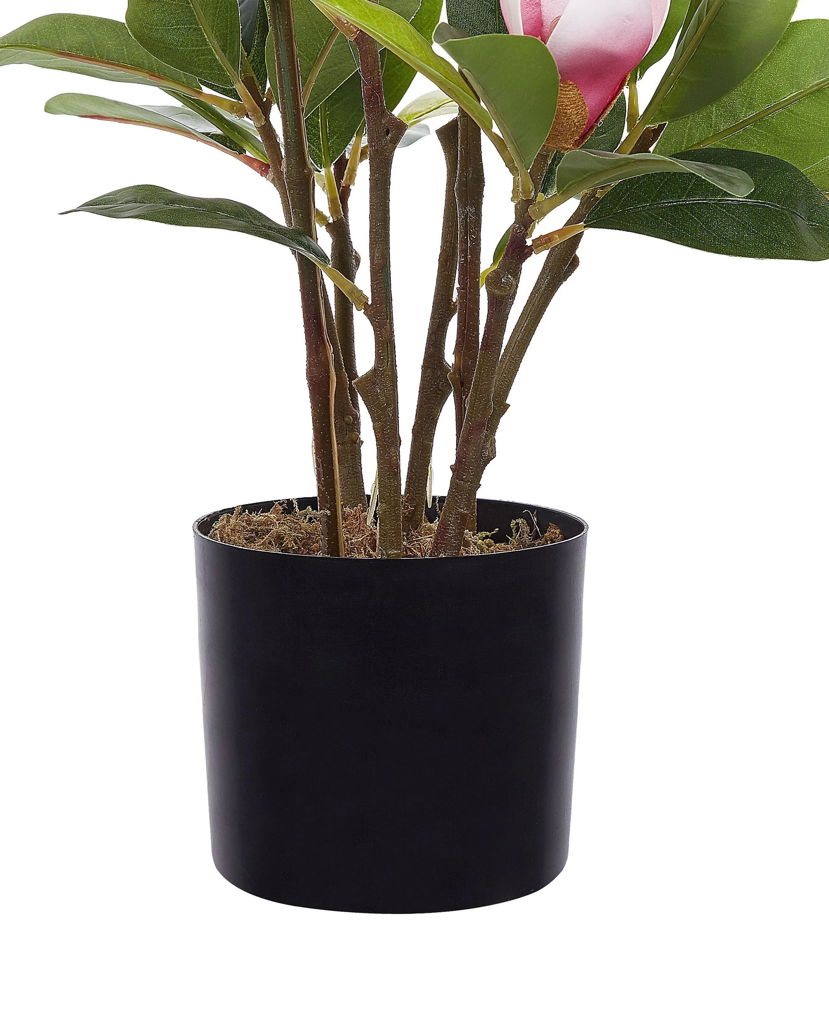 Plante artificielle 70 cm Vert