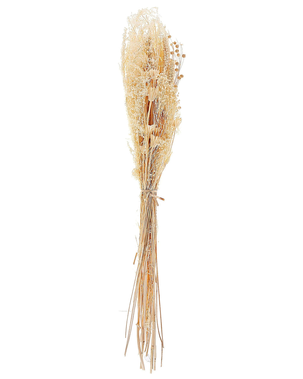 Mazzo di Fiori Secchi  65 cm Naturale